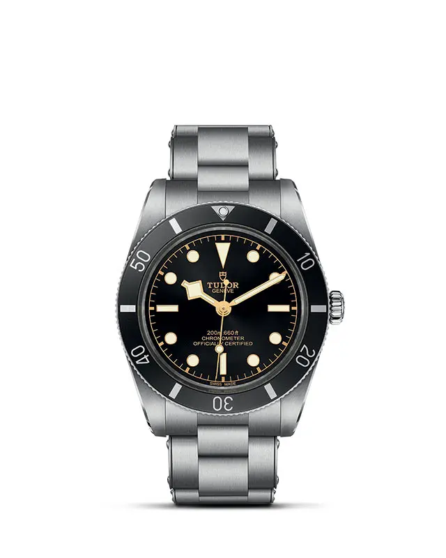 TUDOR Black Bay 54 presso Gioielleria Brusaporci