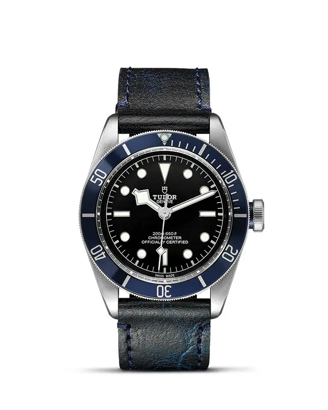 TUDOR Black Bay referenza 79230B  presso Gioielleria Brusaporci