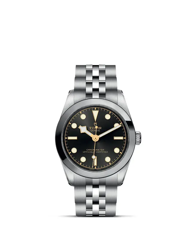 TUDOR Black Bay 31