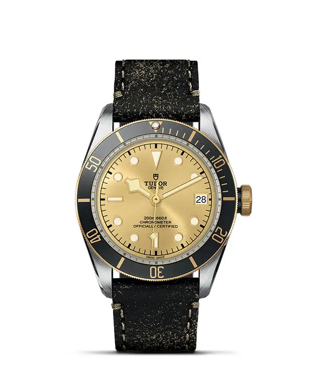 TUDOR Black Bay S&G