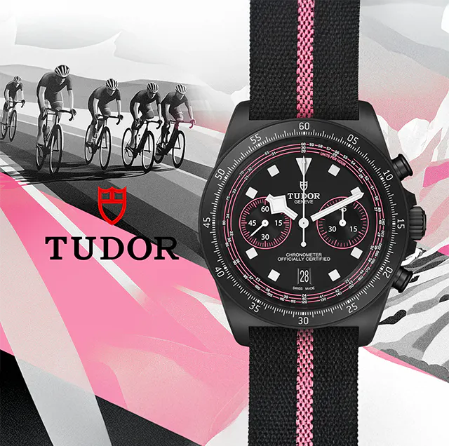 Collezione Tudor