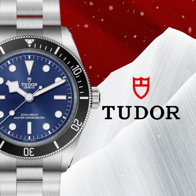 Collezione Tudor