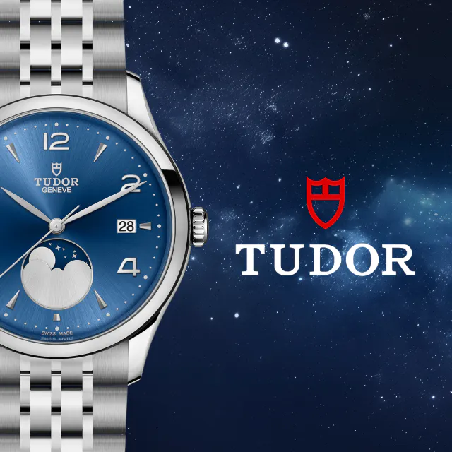 Collezione Tudor