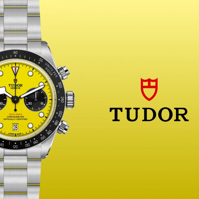 Collezione Tudor