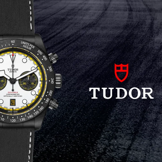 Collezione Tudor