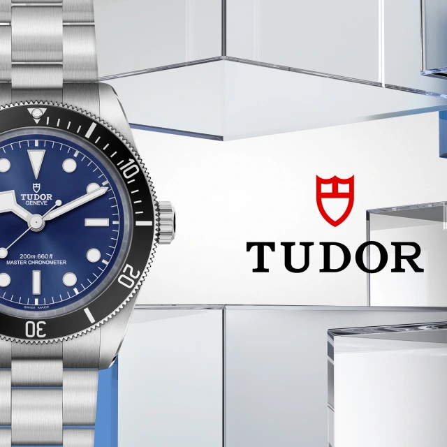 Collezione Tudor