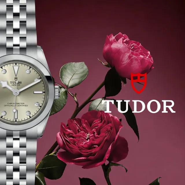 Collezione Tudor
